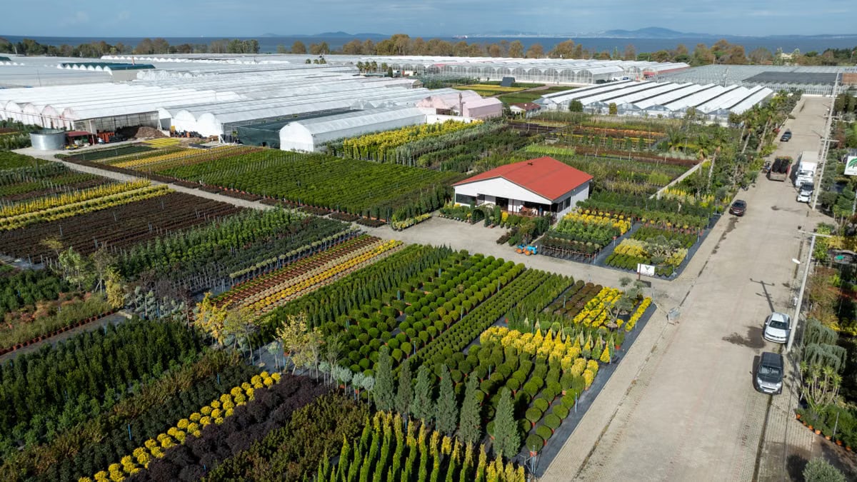 Sprawling greenhouses and fields in Yalova, Türkiye, captured from above on a clear day.